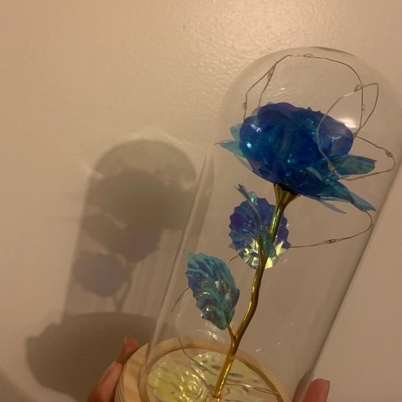 Rose - Picture 4 of 10